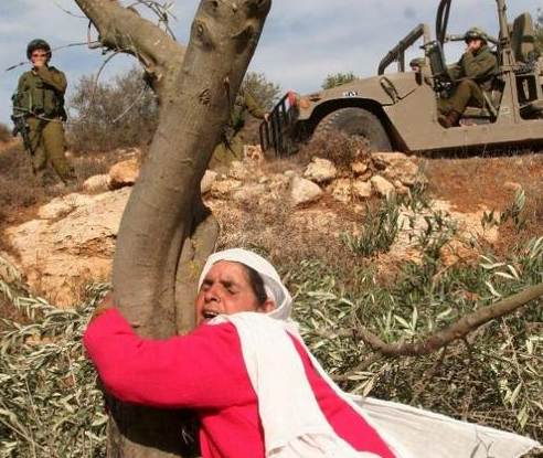 النساء الفلسطينيات ويوم الأرض في الذكرى الثانية والأربعين .

